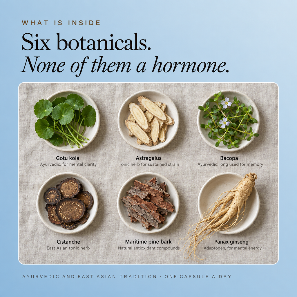 Six botanicals, none of them a hormone. Gotu kola, astragalus, bacopa, cistanche, maritime pine bark and panax ginseng in six dishes, each named with its traditional use