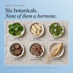 Six botanicals, none of them a hormone. Gotu kola, astragalus, bacopa, cistanche, maritime pine bark and panax ginseng in six dishes, each named with its traditional use