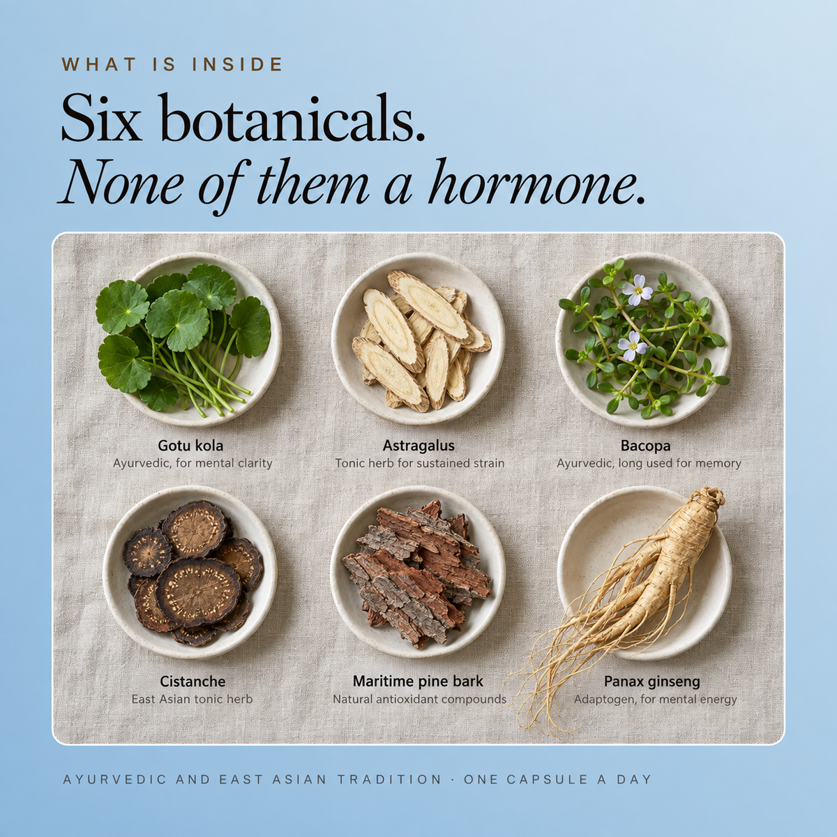 Six botanicals, none of them a hormone. Gotu kola, astragalus, bacopa, cistanche, maritime pine bark and panax ginseng in six dishes, each named with its traditional use